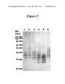 Cytotoxicity mediation of cells evidencing surface expression of CD63 diagram and image