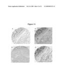 Cytotoxicity mediation of cells evidencing surface expression of CD63 diagram and image