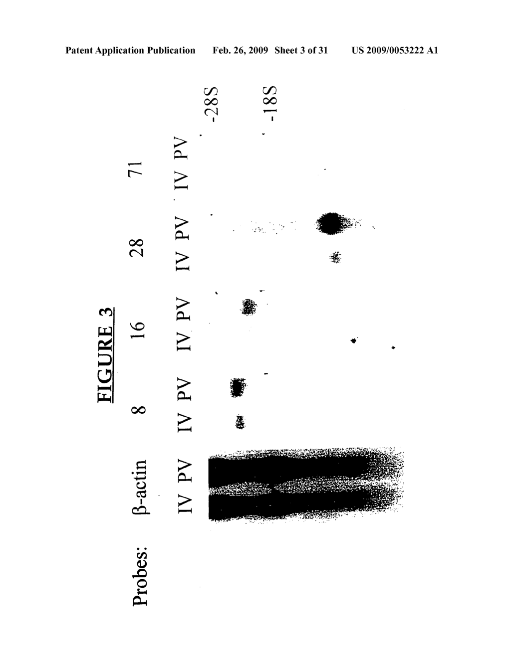 Methods of Treating Cancer by Administering Antibodies to CD200 - diagram, schematic, and image 04