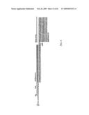 BIMER OR AN OLIGOMER OF A DIMER, TRIMER, QUATROMER OR PENTAMER OF RECOMBINANT FUSION PROTEINS diagram and image