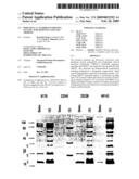 Moraxella catarrhalis protein, nucleic acid sequence and uses thereof diagram and image