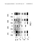 Moraxella catarrhalis protein, nucleic acid sequence and uses thereof diagram and image
