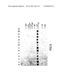 Moraxella catarrhalis protein, nucleic acid sequence and uses thereof diagram and image