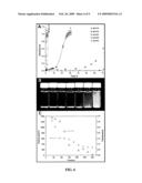 NANOCLUSTERS FOR DELIVERY OF THERAPEUTICS diagram and image