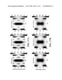 Source and Mask Optimization by Changing Intensity and Shape of the Illumination Source diagram and image