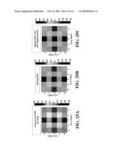 Source and Mask Optimization by Changing Intensity and Shape of the Illumination Source diagram and image