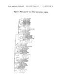 METHOD FOR THE DETECTION OF HPV AND PROBES, PRIMERS AND KITS diagram and image