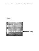 METHOD FOR THE DETECTION OF HPV AND PROBES, PRIMERS AND KITS diagram and image