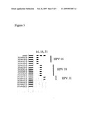 METHOD FOR THE DETECTION OF HPV AND PROBES, PRIMERS AND KITS diagram and image