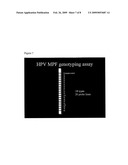 METHOD FOR THE DETECTION OF HPV AND PROBES, PRIMERS AND KITS diagram and image