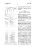 METHOD FOR THE DETECTION OF HPV AND PROBES, PRIMERS AND KITS diagram and image