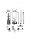 DNA METHYLATION MARKERS ASSOCIATED WITH THE CPG ISLAND METHYLATOR PHENOTYPE (CIMP) IN HUMAN COLORECTAL CANCER diagram and image