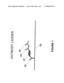 ENHANCED SENSITIVITY OF A CANTILEVER SENSOR VIA SPECIFIC BINDINGS diagram and image