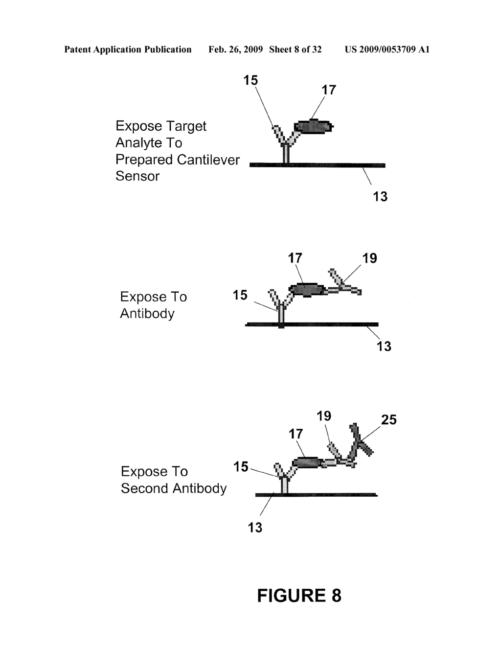 ENHANCED SENSITIVITY OF A CANTILEVER SENSOR VIA SPECIFIC BINDINGS - diagram, schematic, and image 09