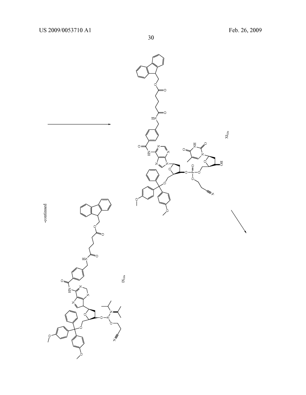 FUNCTIONAL MOLECULE, FUNCTIONAL MOLECULE SYNTHESIZING AMIDITE AND TARGET SUBSTANCE ANALYSIS METHOD - diagram, schematic, and image 80