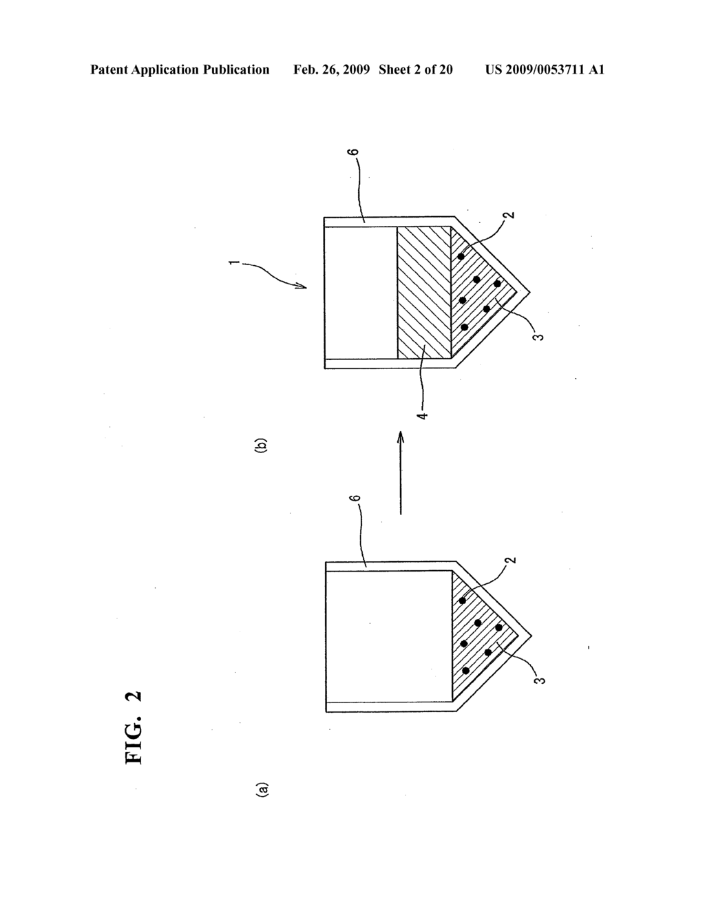 PSEUDO-TISSUE FOR ACCURACY CONTROL, METHOD FOR CONTROLLING ACCURACY BY USING THE SAME, AND METHOD FOR MANUFACTURING THE SAME - diagram, schematic, and image 03