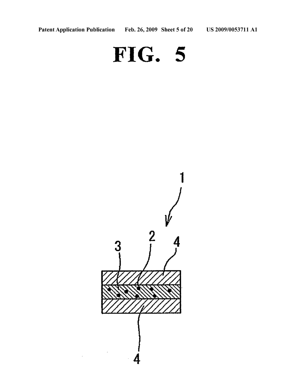 PSEUDO-TISSUE FOR ACCURACY CONTROL, METHOD FOR CONTROLLING ACCURACY BY USING THE SAME, AND METHOD FOR MANUFACTURING THE SAME - diagram, schematic, and image 06