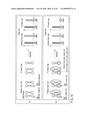 METHOD OF DETECTING HUMAN CYTOCHROME P450 (CYP) 2D6 GENE MUTATION diagram and image