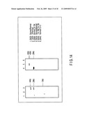 METHOD OF DETECTING HUMAN CYTOCHROME P450 (CYP) 2D6 GENE MUTATION diagram and image