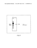 METHOD OF DETECTING HUMAN CYTOCHROME P450 (CYP) 2D6 GENE MUTATION diagram and image