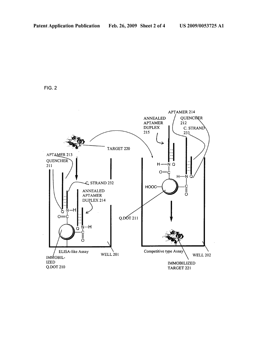 Using DNA aptamers and quantum dots for the detection of proteins or other targets - diagram, schematic, and image 03