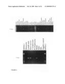 Ligand for G-protein coupled receptor FPRL2 and uses thereof diagram and image