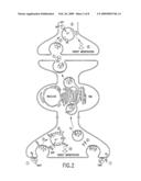 FRET PROTEASE ASSAYS FOR BOTULINUM SEROTYPE A/E TOXINS diagram and image