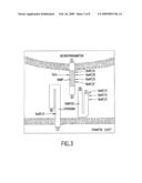 FRET PROTEASE ASSAYS FOR BOTULINUM SEROTYPE A/E TOXINS diagram and image