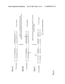 METHODS, COMPOSITIONS AND KITS FOR ONE-STEP DNA CLONING USING DNA TOPOISOMERASE diagram and image