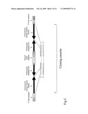 METHODS, COMPOSITIONS AND KITS FOR ONE-STEP DNA CLONING USING DNA TOPOISOMERASE diagram and image