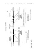 METHODS, COMPOSITIONS AND KITS FOR ONE-STEP DNA CLONING USING DNA TOPOISOMERASE diagram and image