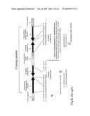 METHODS, COMPOSITIONS AND KITS FOR ONE-STEP DNA CLONING USING DNA TOPOISOMERASE diagram and image