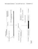 METHODS, COMPOSITIONS AND KITS FOR ONE-STEP DNA CLONING USING DNA TOPOISOMERASE diagram and image