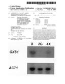EXPRESSION OF AN ACTIVE CARRIER FROM XYLOSE IN GENETICALLY MODIFIED SACCHAROMYCES CEREVISAE diagram and image