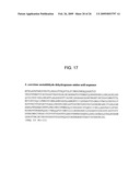 GENETICALLY MODIFIED HOST CELLS AND USE OF SAME FOR PRODUCING ISOPRENOID COMPOUNDS diagram and image