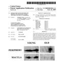 HEMOGLOBIN-BASED METHODS FOR PROPHYLAXIS, DIAGNOSIS AND/OR TREATMENT OF RETINAL DISORDERS diagram and image