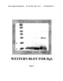 HEMOGLOBIN-BASED METHODS FOR PROPHYLAXIS, DIAGNOSIS AND/OR TREATMENT OF RETINAL DISORDERS diagram and image