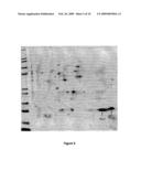 HEMOGLOBIN-BASED METHODS FOR PROPHYLAXIS, DIAGNOSIS AND/OR TREATMENT OF RETINAL DISORDERS diagram and image