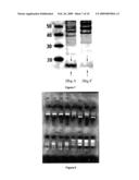 HEMOGLOBIN-BASED METHODS FOR PROPHYLAXIS, DIAGNOSIS AND/OR TREATMENT OF RETINAL DISORDERS diagram and image