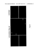 HEMOGLOBIN-BASED METHODS FOR PROPHYLAXIS, DIAGNOSIS AND/OR TREATMENT OF RETINAL DISORDERS diagram and image