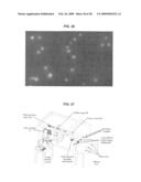 Systems and methods for robotic transport diagram and image