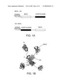 Diagnosis of Autoimmune Disease diagram and image