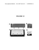 DEVICES FOR CELL ASSAYS diagram and image