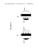 DEVICES FOR CELL ASSAYS diagram and image