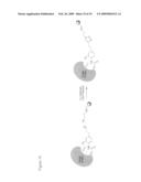 SMIPs: Small molecule inhibitors of p27 depletion in cancers and other proliferative diseases diagram and image