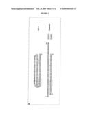 VESICULINS diagram and image