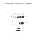 Polypeptides and use thereof diagram and image