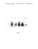 Polypeptides and use thereof diagram and image