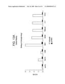 Specific Binding Agents of Human Angiopoietin-2 diagram and image