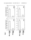 Transcriptional Regulation of High Affitnity Ige Receptor Gamma-Chain diagram and image